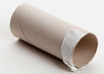 Dica sustentável: pare de descartar os rolos de papel higiênico, você está jogando um tesouro no lixo sem saber