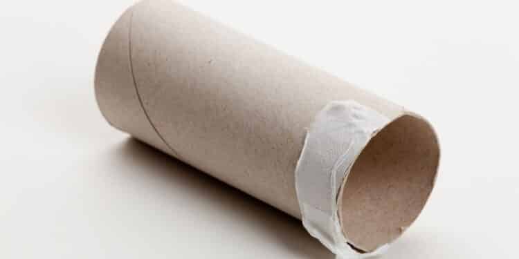 Sustentabilidade: rolo de papel higiênico vira tesouro no seu jardim com essa dica simples