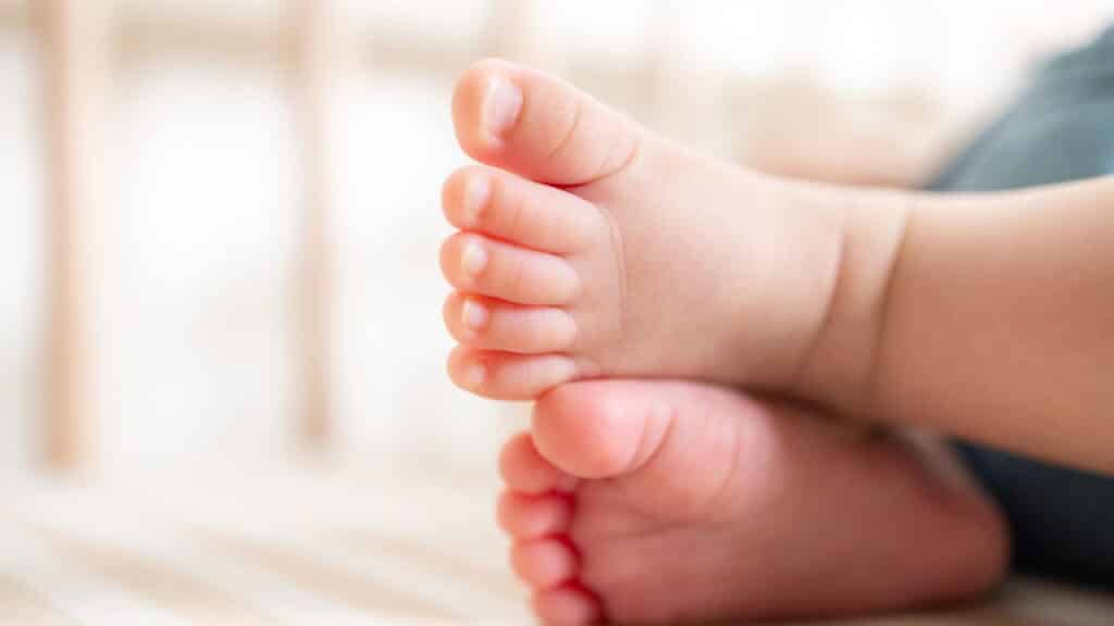 Revelados os nomes femininos que estão em alta e fazem sucesso em 2025