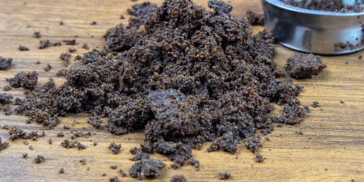 Não jogue fora o pó de café usado! Veja como transformá-lo em um verdadeiro tesouro