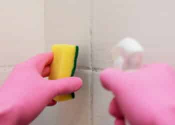 Veja a receita simples de desengordurante caseiro que limpa rápido e economiza seu dinheiro