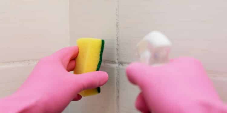 Veja a receita simples de desengordurante caseiro que limpa rápido e economiza seu dinheiro