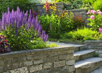 Saiba como preparar o jardim para a primavera com truques simples e eficazes