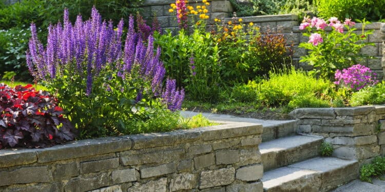 Transforme seu jardim: veja as melhores pedras para uma decoração de tirar o fôlego