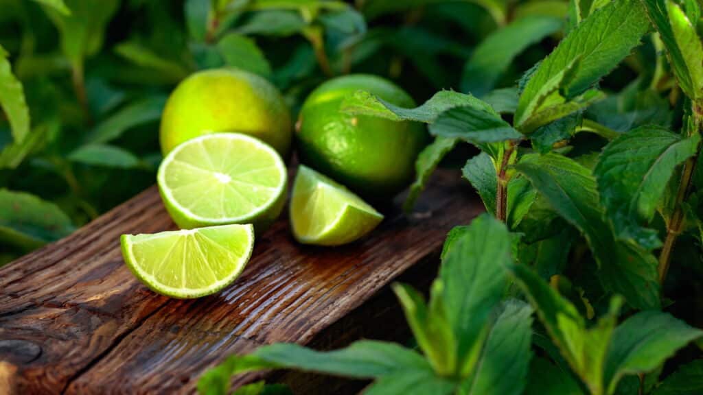 Começar o dia com suco de limão é seguro? Entenda o alerta de especialistas