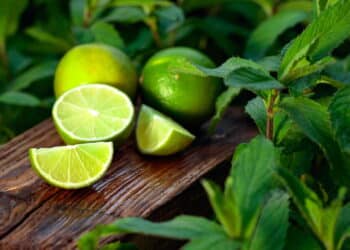 Começar o dia com suco de limão é seguro? Entenda o alerta de especialistas