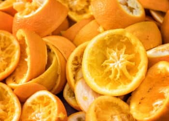 Não jogue fora as cascas de laranja: veja truques incríveis para usar esse tesouro na sua casa