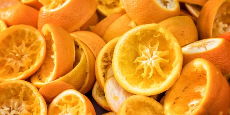 Não jogue fora as cascas de laranja: veja truques incríveis para usar esse tesouro na sua casa