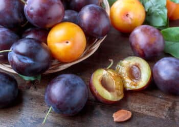 O segredo para plantar ameixa em casa de forma fácil e colher frutas suculentas o ano todo