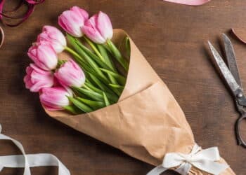Aprenda a plantar tulipas em vasos e transforme sua casa com elegância e cor