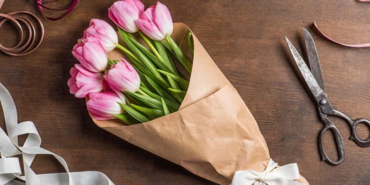 Aprenda a plantar tulipas em vasos e transforme sua casa com elegância e cor