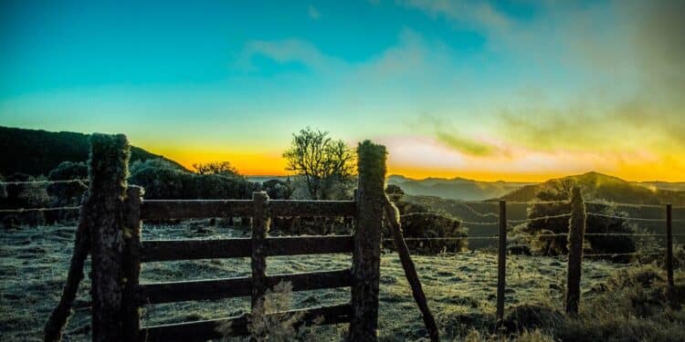 Cidade mais fria do Brasil enfrenta sensação térmica de -13°C no adeus à frente fria; veja previsões