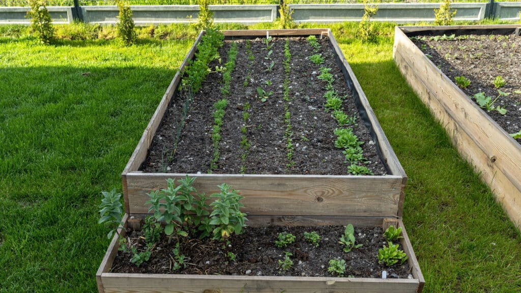 Como cuidar das plantas no frio com três truques simples que realmente funcionam