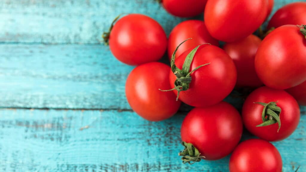 Saiba como cultivar tomates frescos o ano inteiro na sua casa; veja as melhores variedades