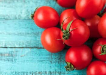 O truque caseiro simples que deixa seus tomates mais fortes e saudáveis