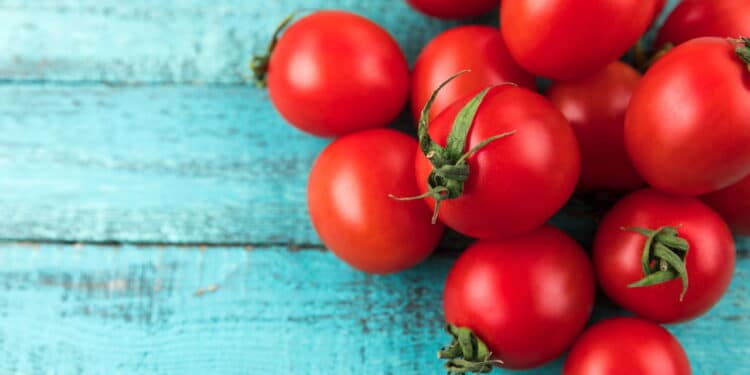 Evite essas plantas ao lado de tomates, elas podem 'arruinar' sua colheita