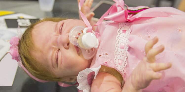 Bebê reborn vira febre entre adultos; veja quanto custa uma boneca e de onde surgiu a 'moda'