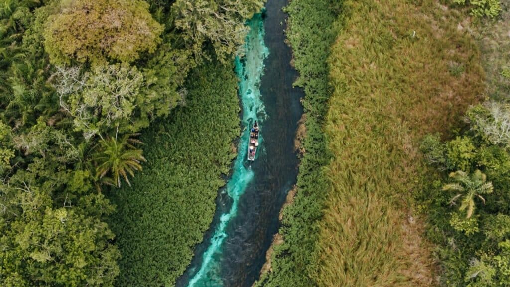 Imagens impressionantes: fotógrafo flagra sucuris gigantes em Bonito (MS)