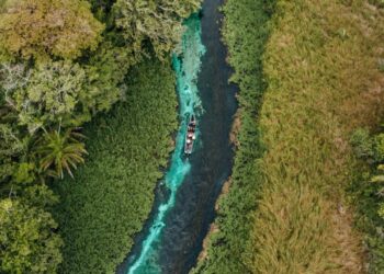 Paraíso escondido no Pantanal: conheça a cidade com as águas mais cristalinas do Brasil