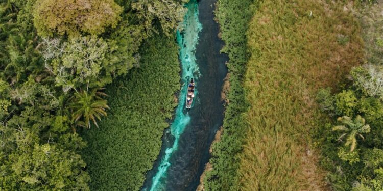 As 3 sucuris gigantes que viraram lenda no paraíso do Brasil chamado Bonito