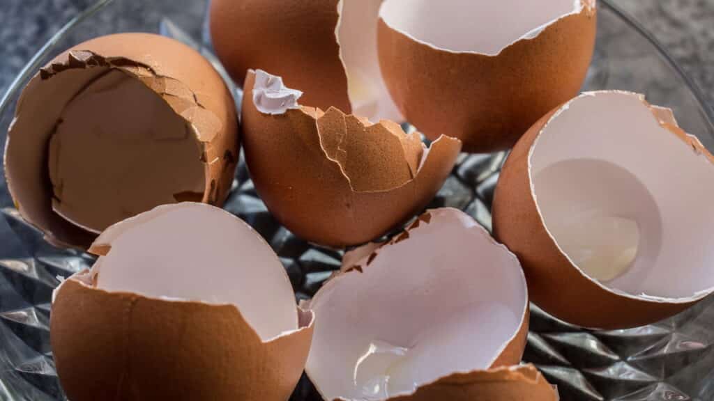 Veja os 5 restos de alimentos que viram adubo poderoso para qualquer horta