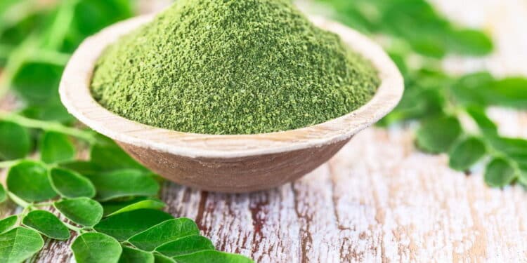 Poucos sabem: essa planta simples faz uma limpeza no fígado e pdoe regular o intestino