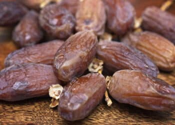 Fruta ancestral: conheça uma das frutas mais antigas do mundo que você pode cultivar em vaso na sua casa