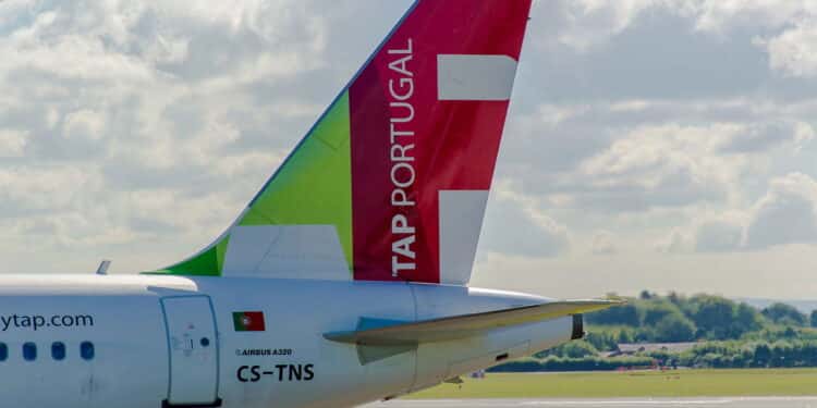 Companhia aérea gasta milhões para impedir embarque de cão de serviço em voo; entenda
