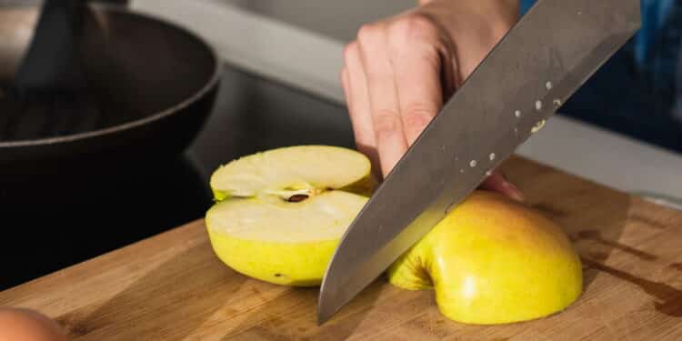 Veja os melhores lanches vegetarianos saudáveis e rápidos para incluir na rotina