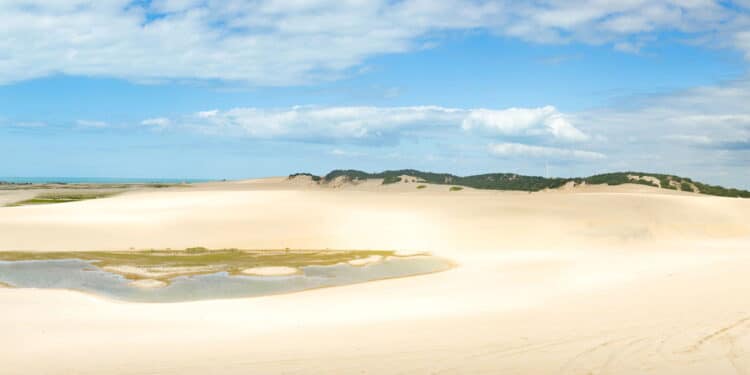 Dunas em Canoa Quebrada, Ceará, Brasil - Créditos: depositphotos.com / Junot