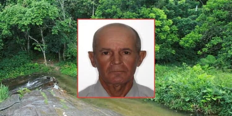 Desaparecido em mata, idoso não usava bancos e levava grande quantia