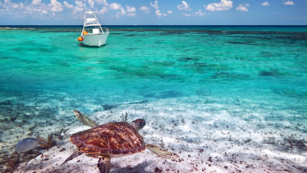 Essa praia do Caribe tem um segredo que pouca gente conhece!