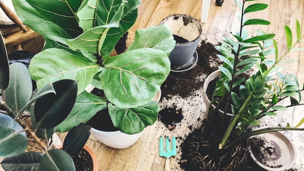 Créditos: depositphotos.com / Sonyachny