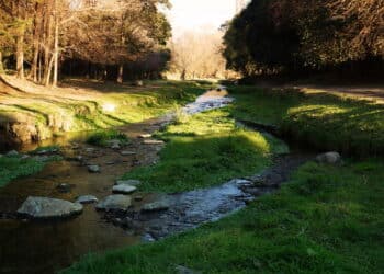 Essa cidade com águas curativas e floresta encantada está a menos de 200 km de Buenos Aires!