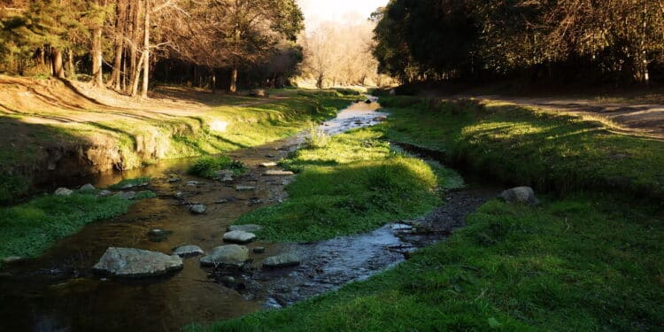 Essa cidade com águas curativas e floresta encantada está a menos de 200 km de Buenos Aires!