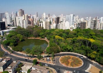 Música e tradição: como Goiana mantém viva a ciranda e a Banda Curica