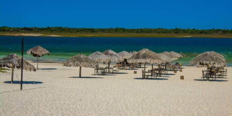 Essa praia foi decretada a mais linda do nordeste!
