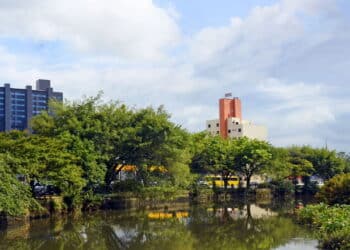 Essa cidade brasileira está surpreendendo o mundo com índices de bem-estar!