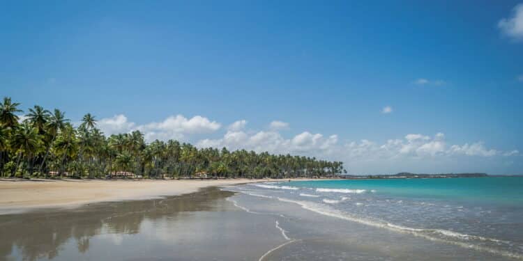 Praia dos carneiros, Pernambuco - Créditos: depositphotos.com / mrmello63@gmail.com