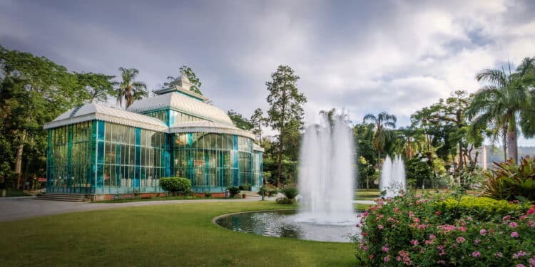 Créditos: depositphotos.com / diegograndi