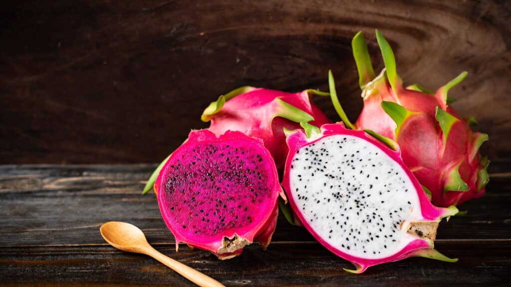 Aprenda a melhor técnica para cultivar pé de Pitaya no vaso e se delicie com essa frutinha!