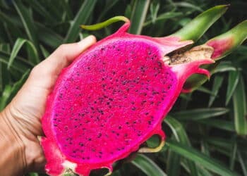 A fruta mais poderosa para emagrecer e turbinar a saúde!