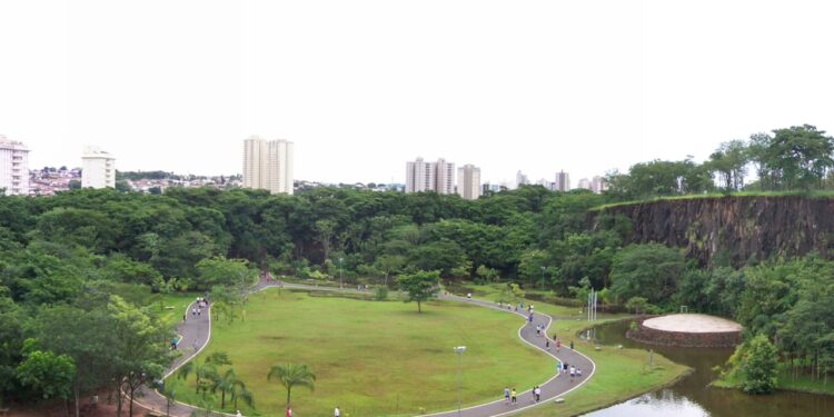 Trânsito em um dia comum nas ruas da cidade de Ribeirão Preto - Reprodução: Wikimedia Commons