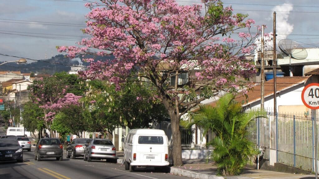 Volta Redonda, Rio de Janeiro - Créditos: Wikimedia Commons