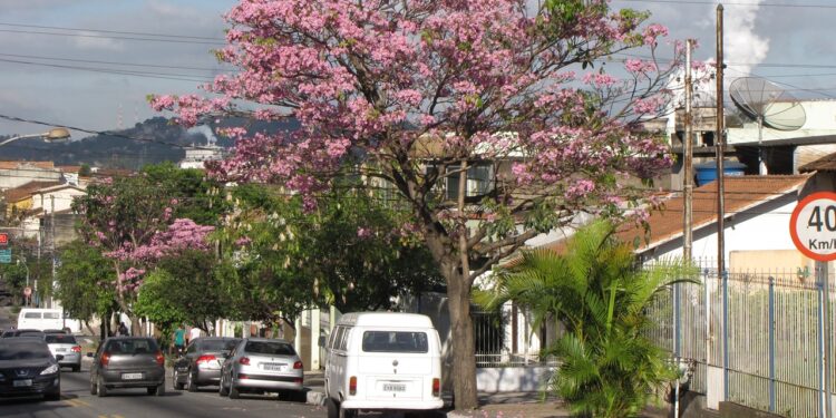 Volta Redonda, Rio de Janeiro - Créditos: Wikimedia Commons