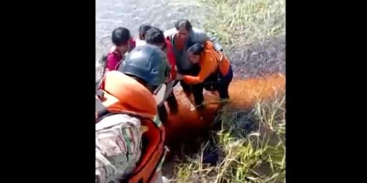 Avião de pequeno porte cai na Amazônia Boliviana e 5 passageiros sobrevivem