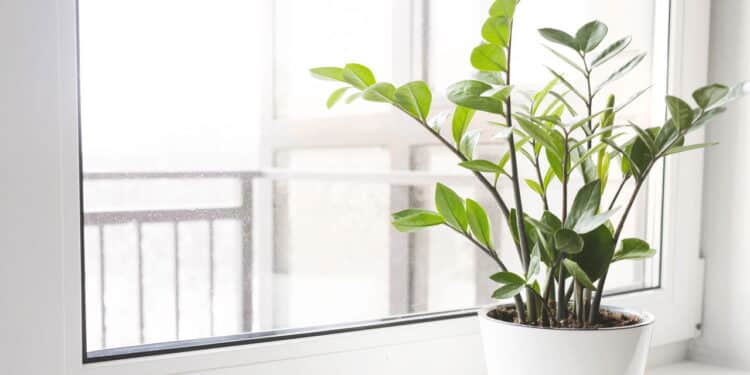 Créditos: depositphotos.com / kseniasol