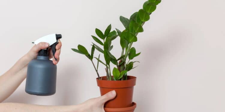 Créditos: depositphotos.com / brizmaker