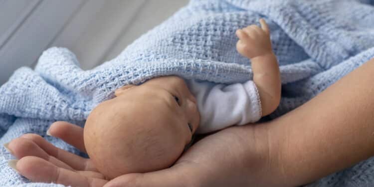 A técnica mais realista já vista em bebês reborn está viralizando