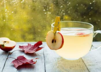 Créditos: depositphotos.com / elenafetisova